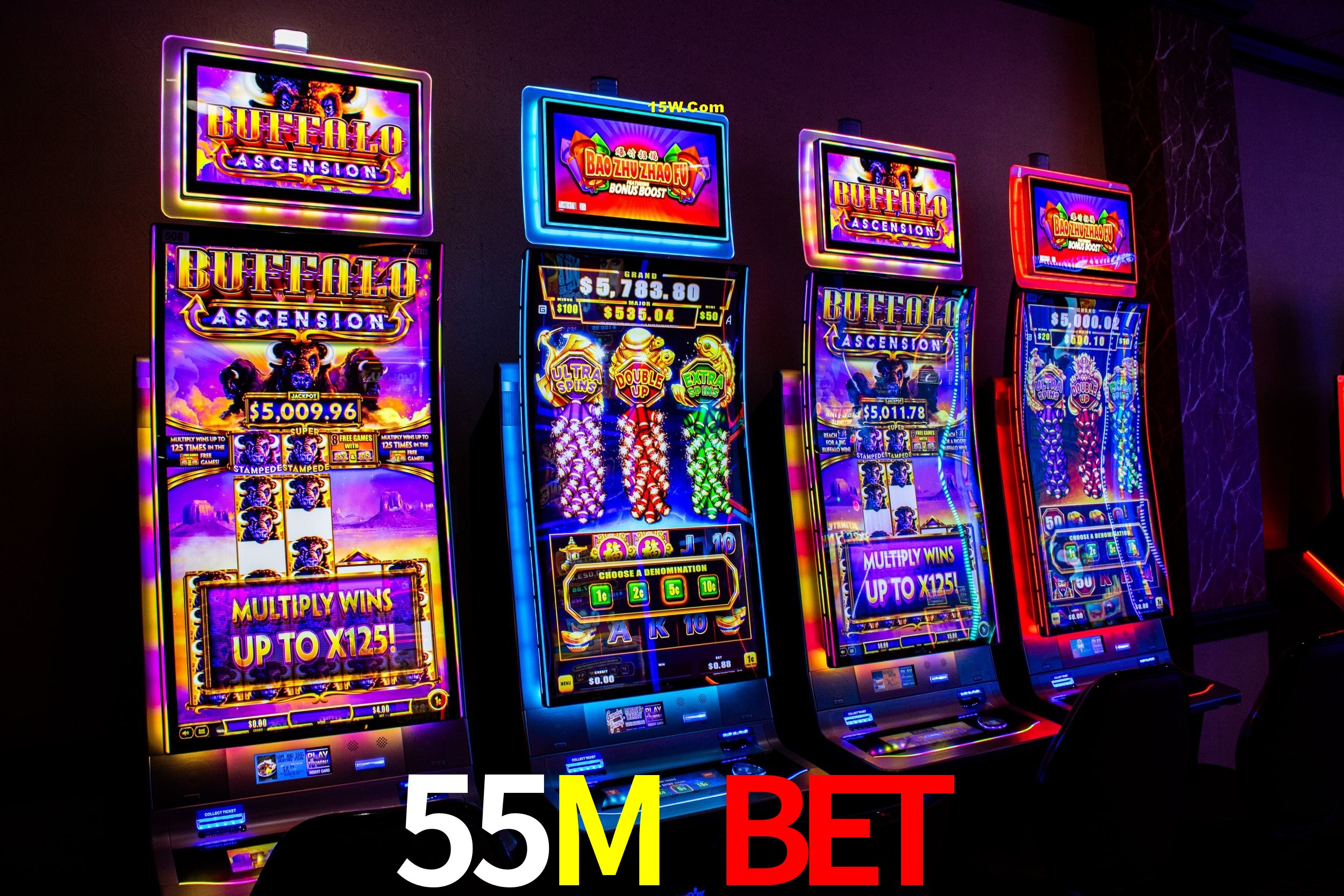 Casino VIP 55M Bet