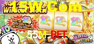 55M Bet,55M Plataforma
